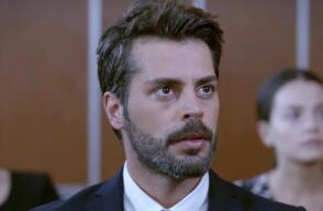 392538_omer1.jpg