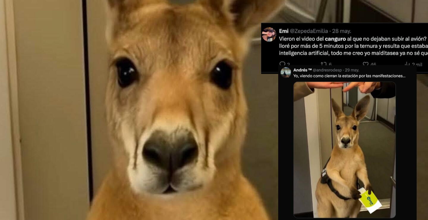 Memes que deja el video del canguro de soporte emocional hecho por la IA.