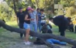 Curiosos que miraban un incendio terminaron espichados por un árbol