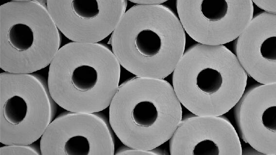 papel higienico.jpg papel higienico.jpg