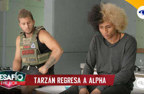 Tarzán regresa a la competencia - Desafío The Box