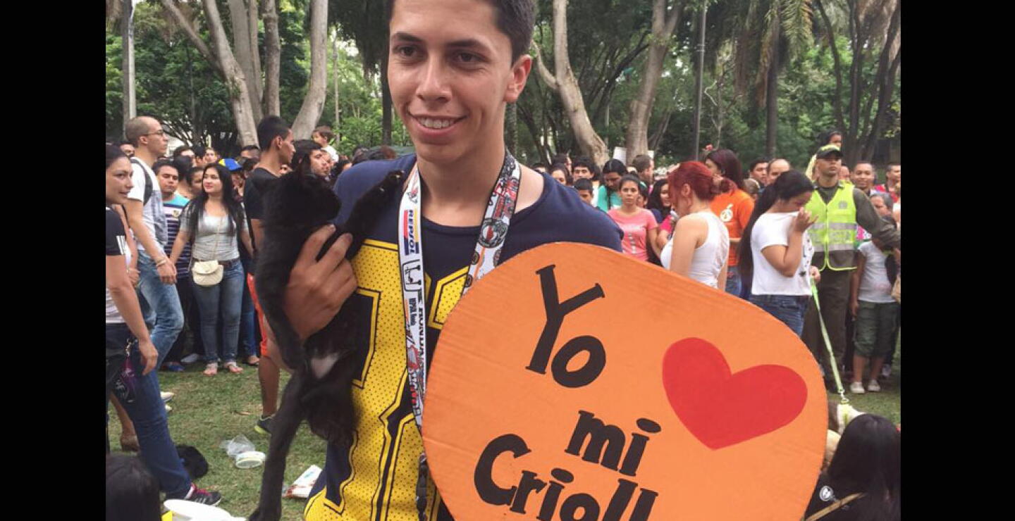 Tras la exitosa jornada de adopción y donación, el Director de Unidad Animal afirmó que ahora la prioridad es el trasladar la fundación a un nuevo lugar para seguir con su labor de ofrecer refugio y cuidado a los animales.