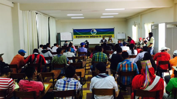 212637_Foto: oia.org.co