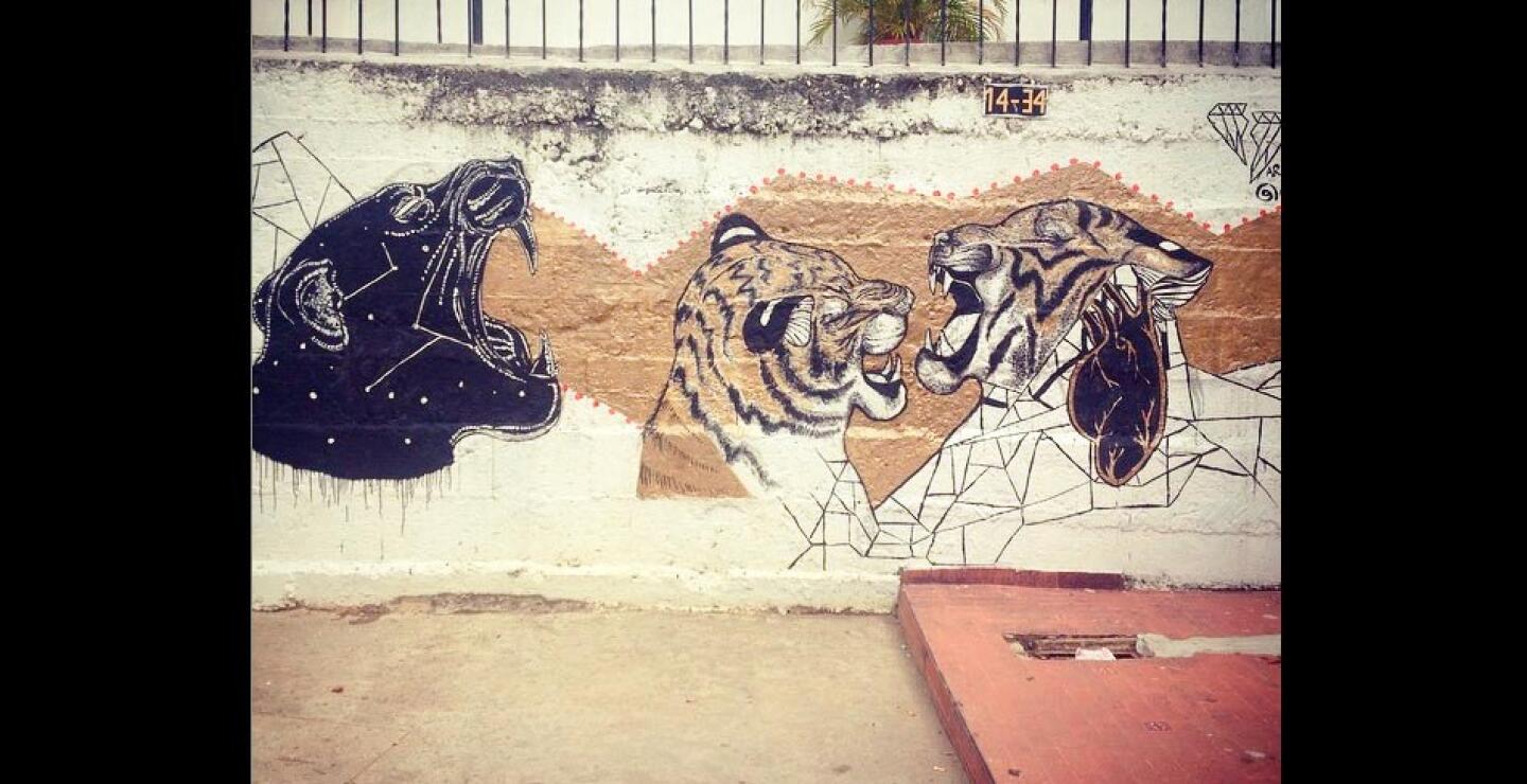 Artista: Daniel Arias - Ciudad: Cali.