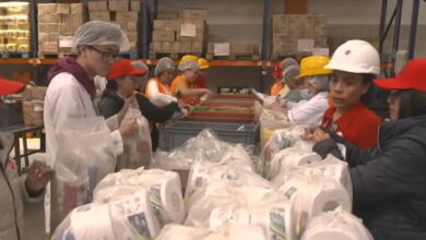 Ojo, Banco de Alimentos alerta sobre página falsa: "Para solicitar donaciones de manera fraudulenta"