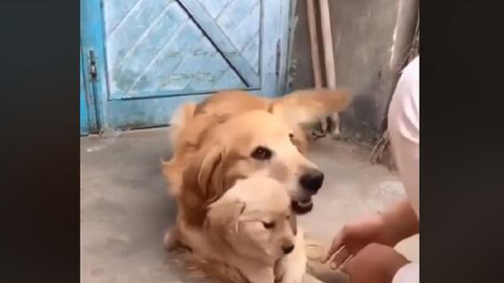 295436_Foto publicada por la usuaria de Facebook Jean Xu