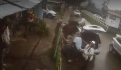 Video: perrito asustó a caballo con sus ladridos 