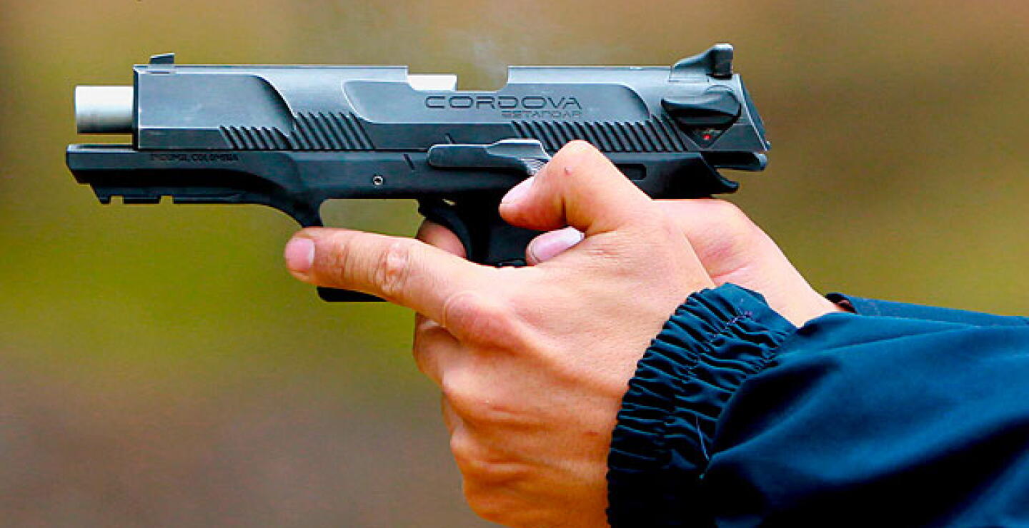 100215-armas-sicarios_1_0.jpg