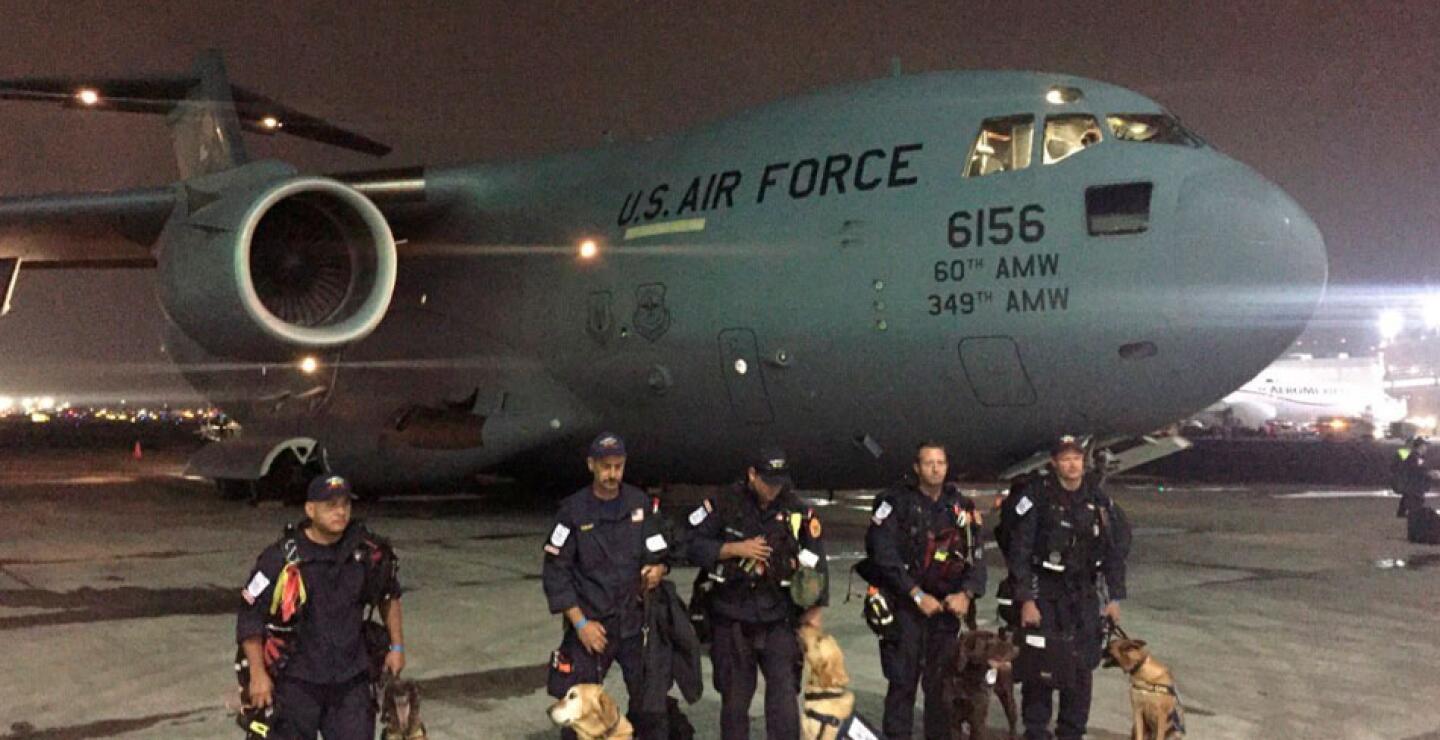 Binomios caninos son enviados desde los Estados Unidos para unirse a las labores de rescate.