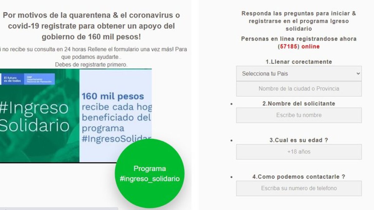 pantallazo.jpg