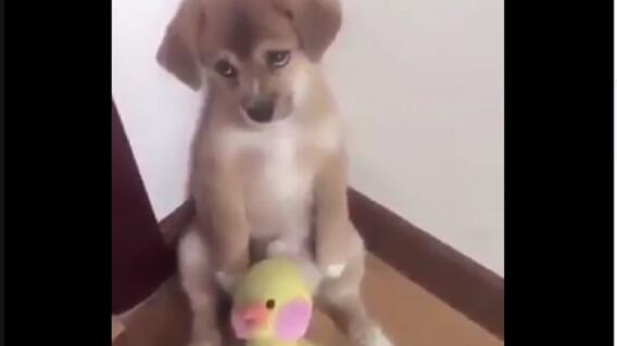 291916_Foto tomada del video