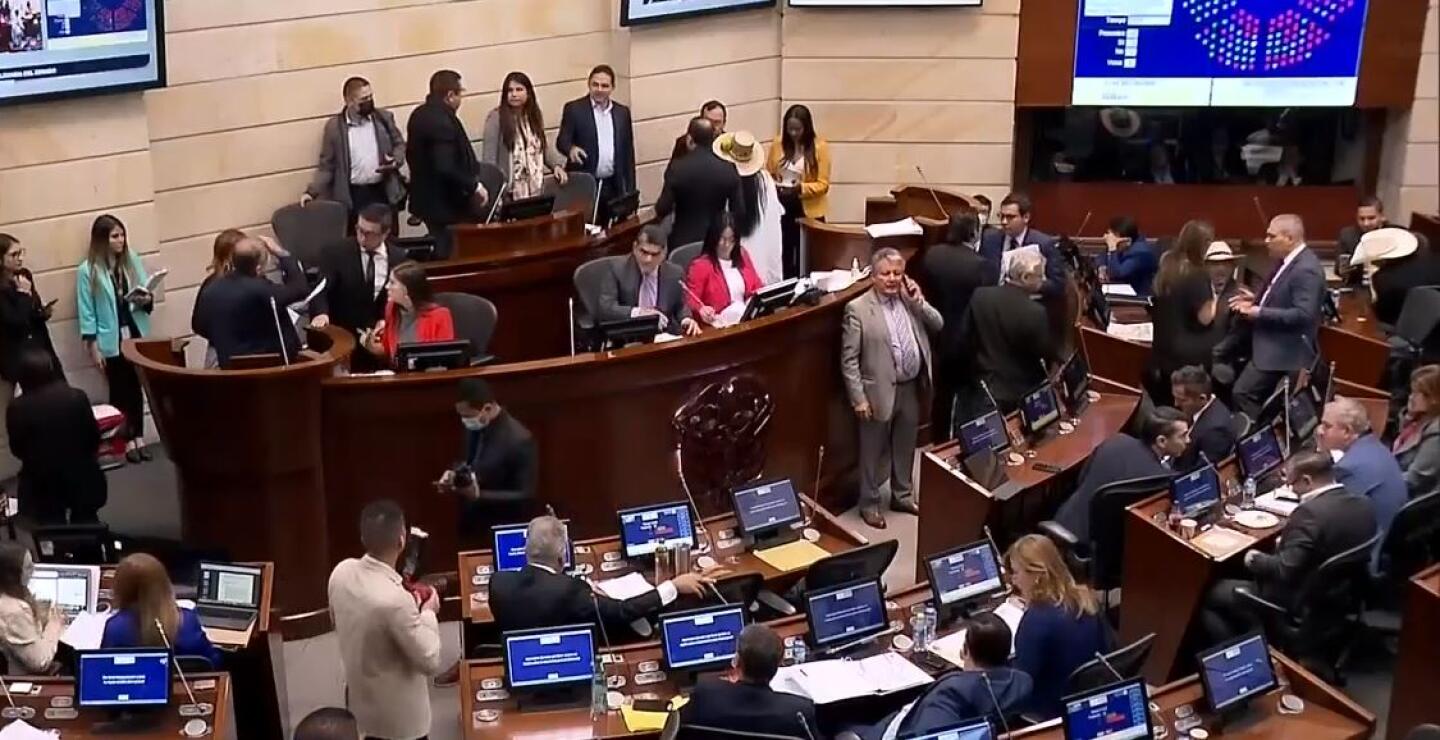 Se hundió la reforma política: ¿quién incluyó los micos del proyecto?