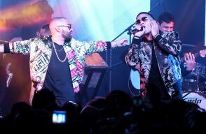 236816_chinoynacho.jpg