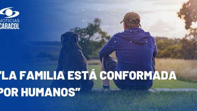 Familia multiespecie: ¿qué opina la Iglesia católica sobre humanizar a animales de compañía? Familia multiespecie: ¿qué opina la Iglesia católica sobre humanizar a animales de compañía?