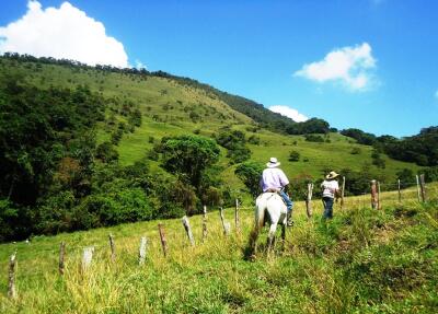 273916_Foto referencia campo CAS