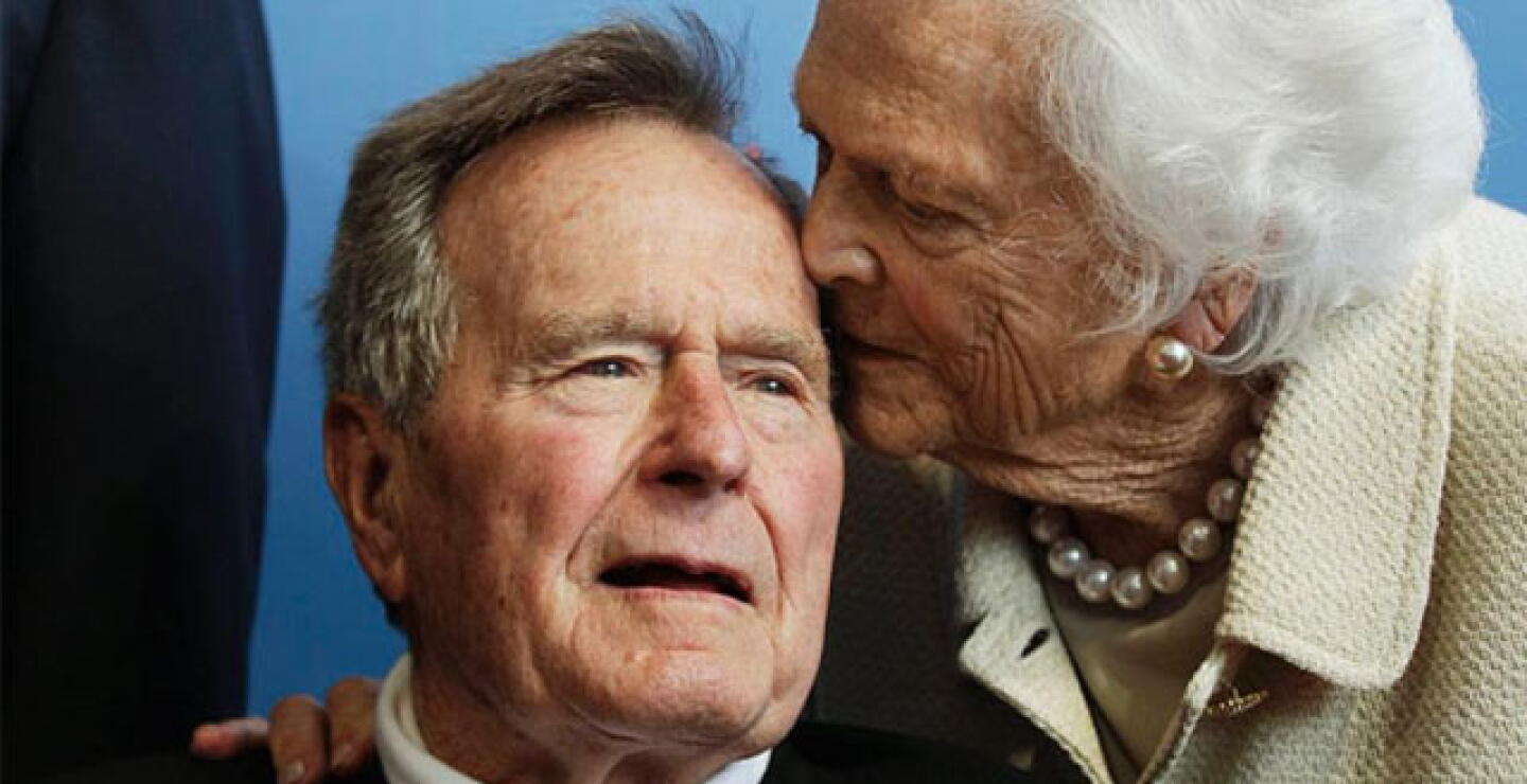 bush-i.jpg