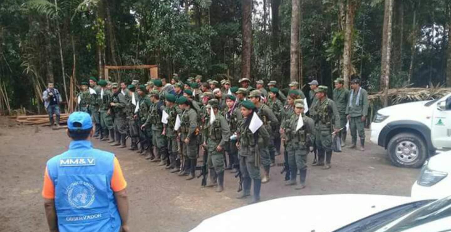 277534_Foto: Andrés Cardoso