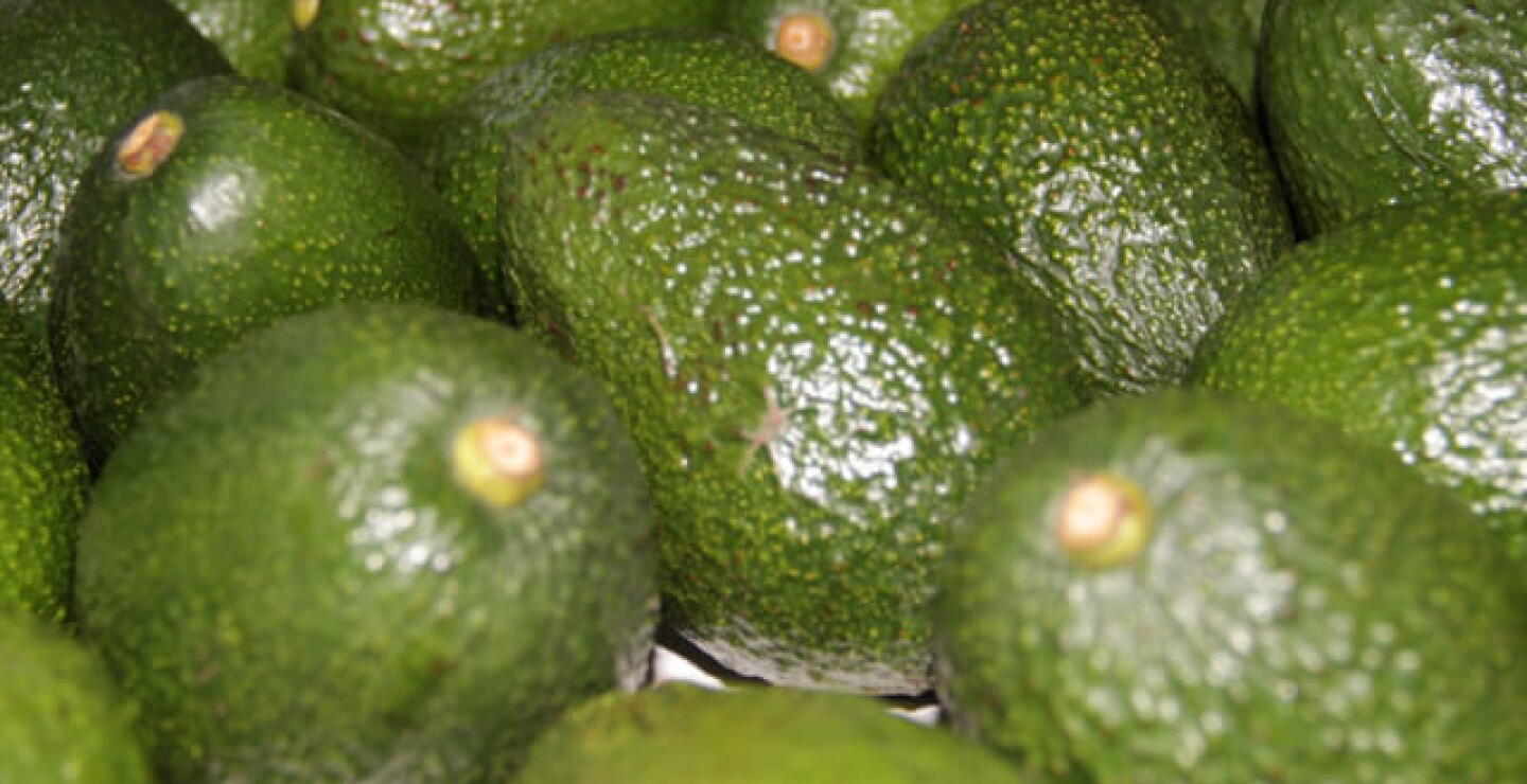 aguacates_0.jpg