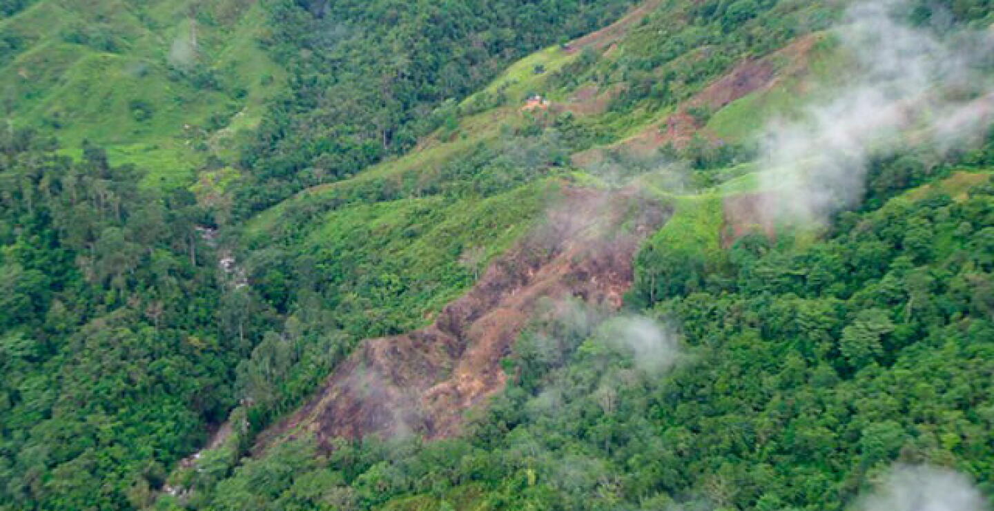 deforestacion-colp.jpg