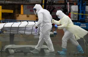 362126_Nueva York. Foto: Referencia AFP