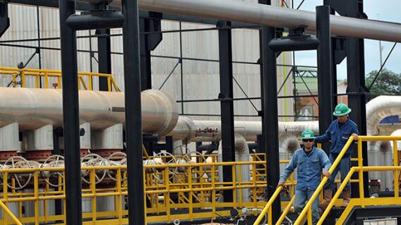 367715_campo-rubiales_meta_afp