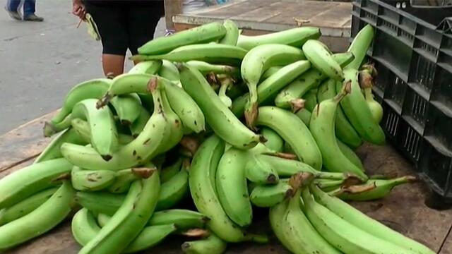 Cae la venta de banano por desinformación del hongo Fusarium R4T que afectó cultivos Cae la venta de banano por desinformación del hongo Fusarium R4T que afectó cultivos