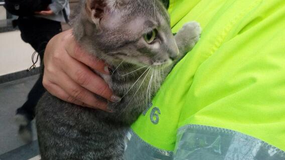 286285_BLU Radio, supuesta alerta en Portal Américas / foto: Policía Bogotá