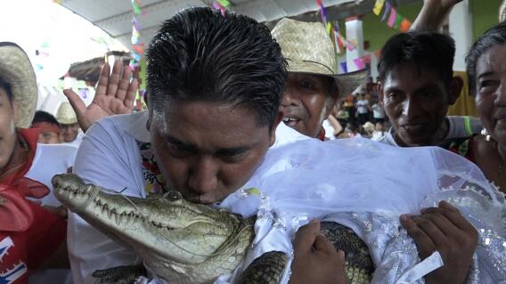 Alcalde en México contrajo matrimonio con caimán Alcalde en México contrajo matrimonio con caimán