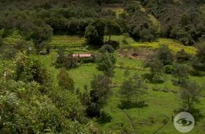 358115_081019_la_finca_de_hoy.jpg