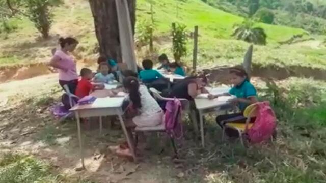 Niños estudiando bajo un árbol: esta imagen no es tierna, es indignante
