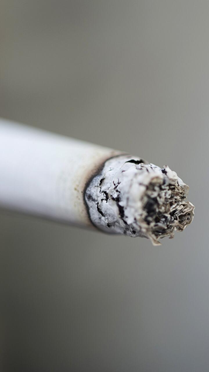 275903_BLU Radio. Tabaco y cigarrillo // Foto: AFP