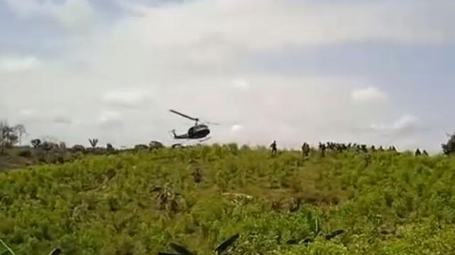 Un muerto y tres heridos en Caquetá tras enfrentamiento entre Policía y cultivadores de coca