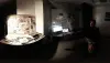 236140_cap12.jpg