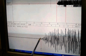 terremototot.gif