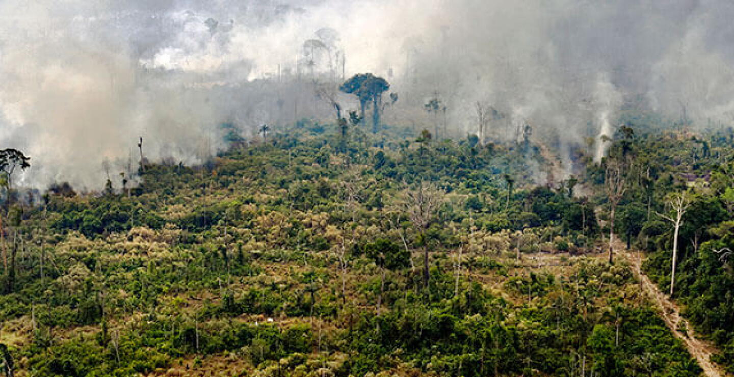 fuego-amazonia.jpg