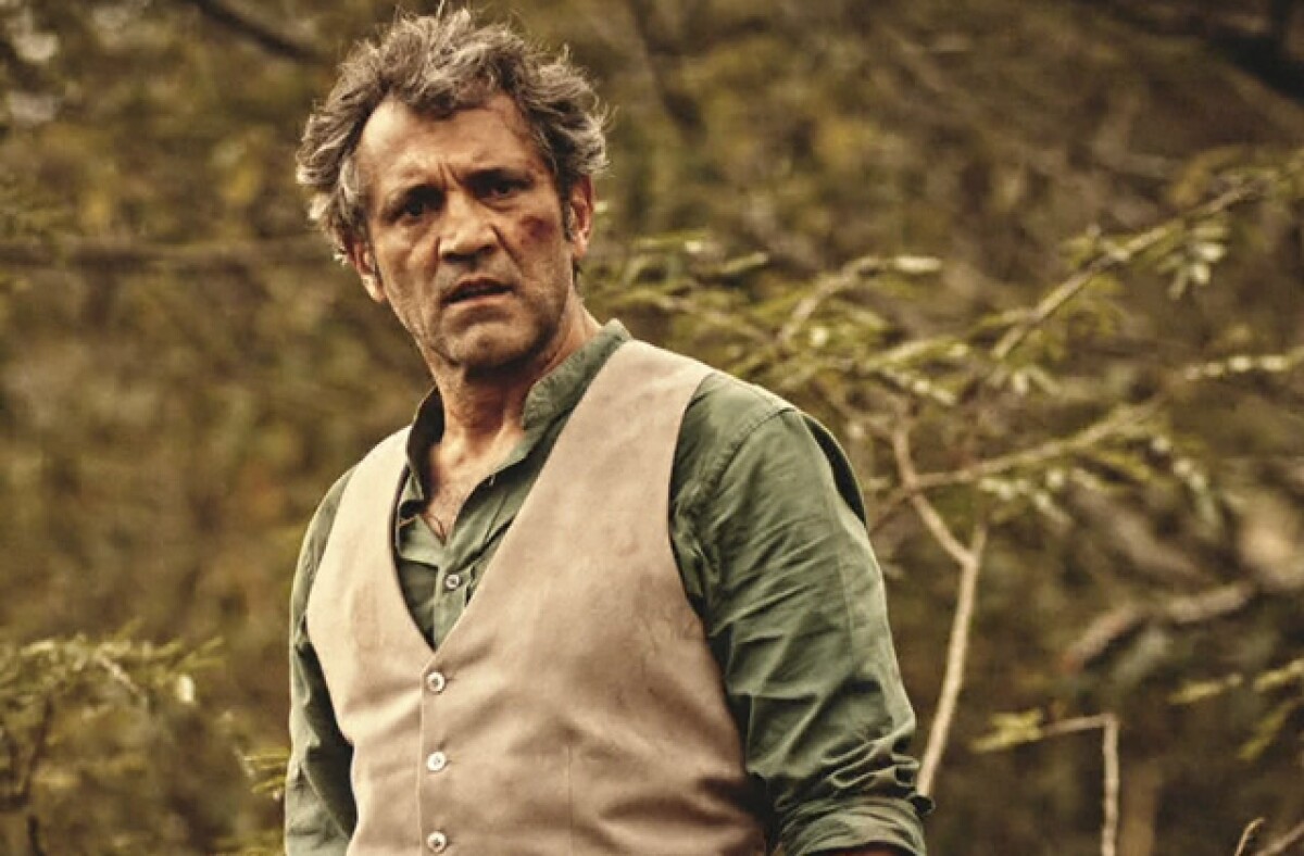 velhochico-domingosmontagner.jpg