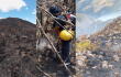 Incendio en Coromoro, Santander, afecta complejo de páramos Guantiva-La Rusia, varios frailejones quemados