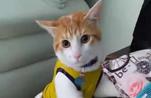 310059_Foto: Tomada de video publicado por Mundo Viral Colombia en Facebook