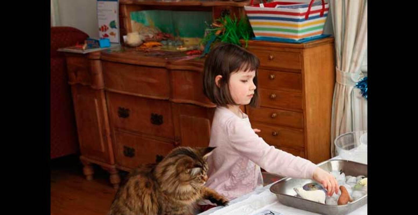 Iris Grace vive en el condado de Leicestershire en Inglaterra y fue diagnostica de autismo severo a sus dos años.