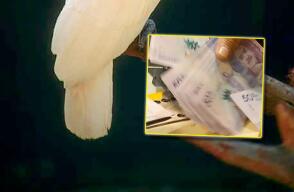 Fotos: archivo Colprensa.