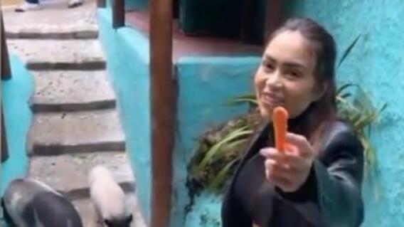 Epa Colombia compara a Yina con cerda Epa Colombia compara a Yina con cerda