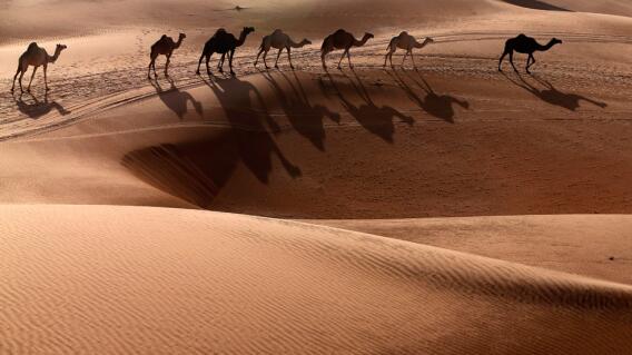 298646_BLU Radio. Desierto de Sahara // Foto: AFP
