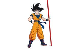 252096_goku1.jpg
