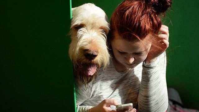 ¿Corto de tiempo? Esta app le permite pasear a su perro por celular