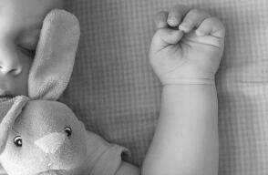 Imagen de referencia