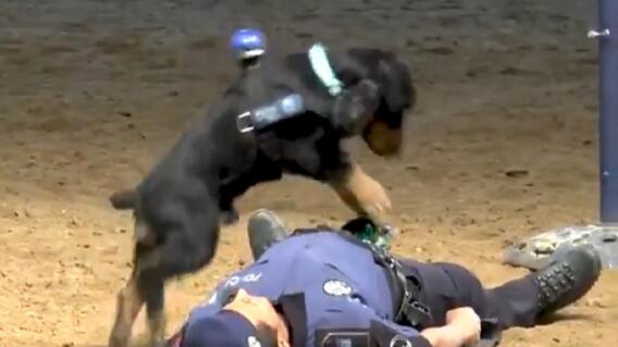 309797_Foto: Tomada de video publicado por la Policía de Madrid