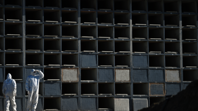 Entre lápidas acumuladas por el coronavirus, así es la ardua labor de los sepultureros en Brasil    