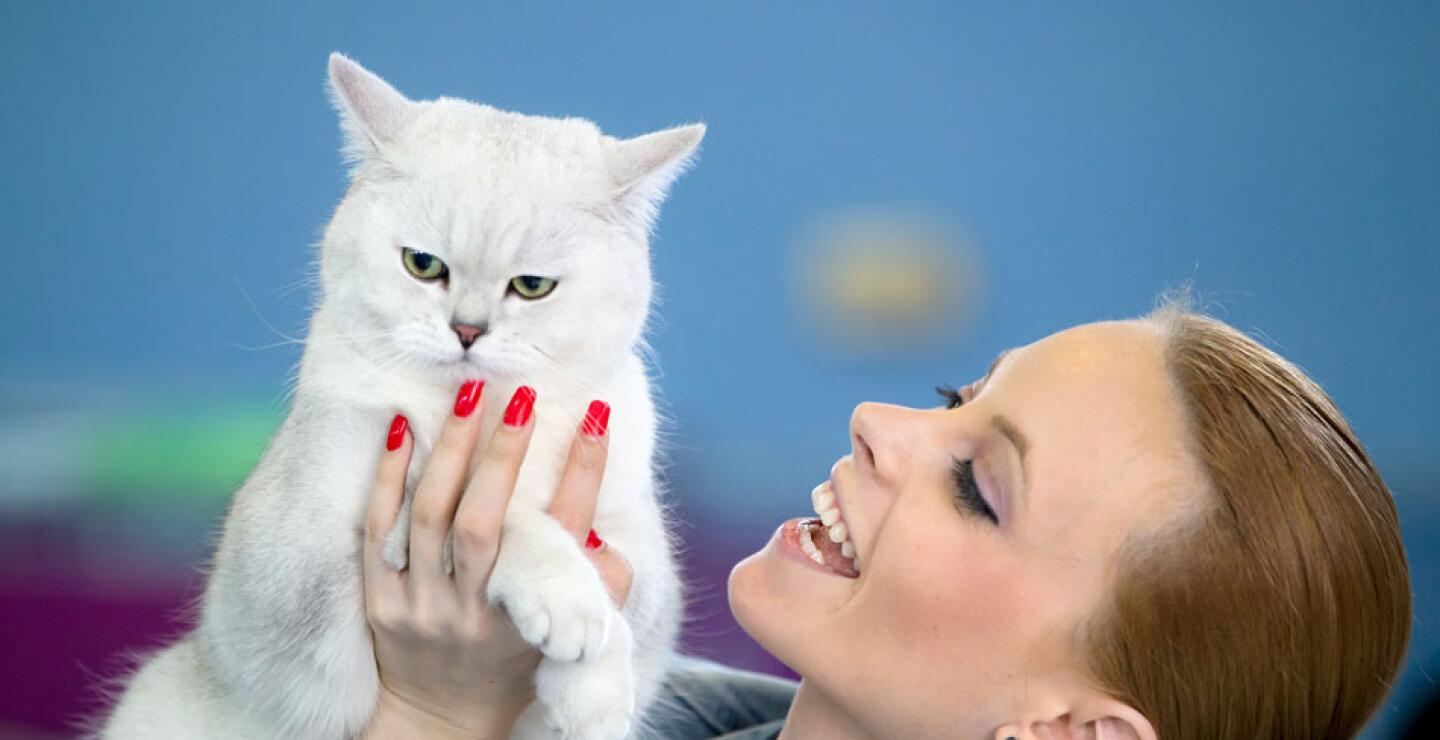 gato3_0.jpg