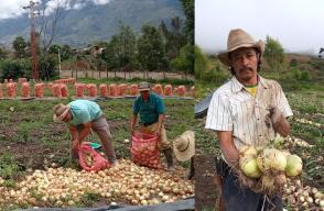 Campesinos de Guaca Santander.jpg