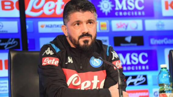 326890_gatusso_e.jpg